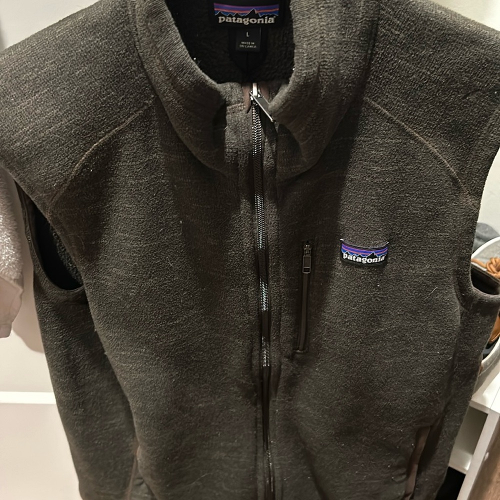 Patagonia Vest